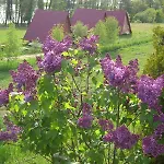Nad Drawskim Letniskowe Lodge *