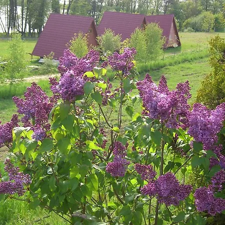 Nad Drawskim Letniskowe Domek letniskowy *