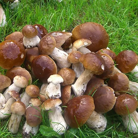 Nad Drawskim Letniskowe Lodge *