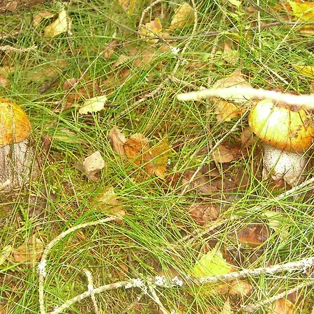 Nad Drawskim Letniskowe Czaplinek