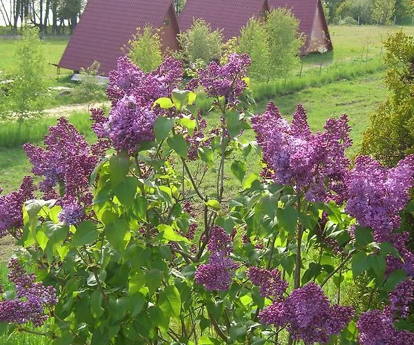 Nad Drawskim Letniskowe Lodge *