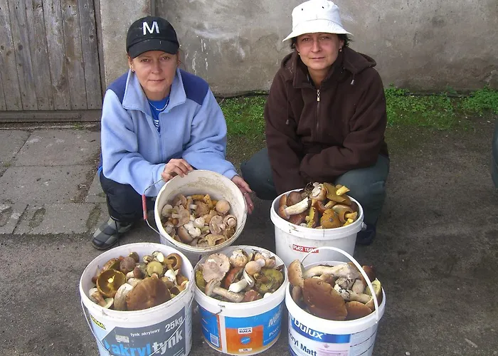 Lodge Nad Drawskim Letniskowe Czaplinek