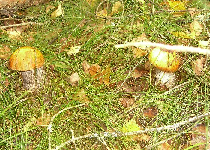 Nad Drawskim Letniskowe Czaplinek